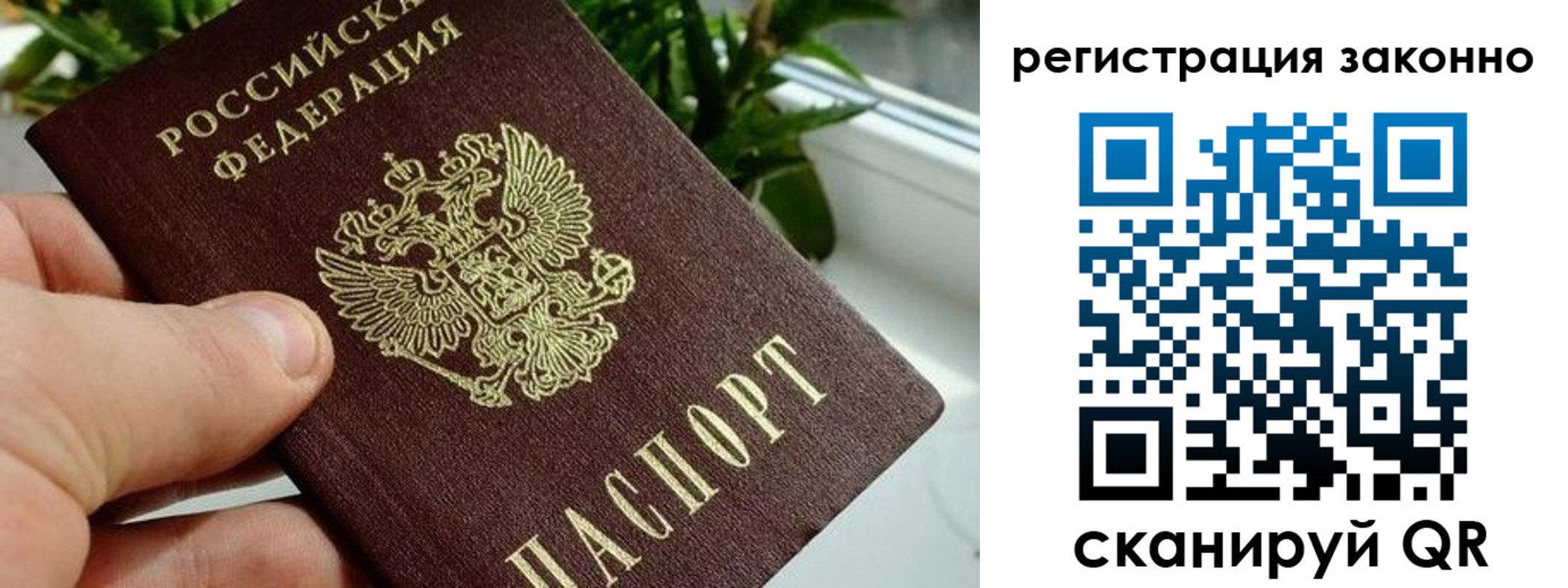прописка гарантия в Ревде